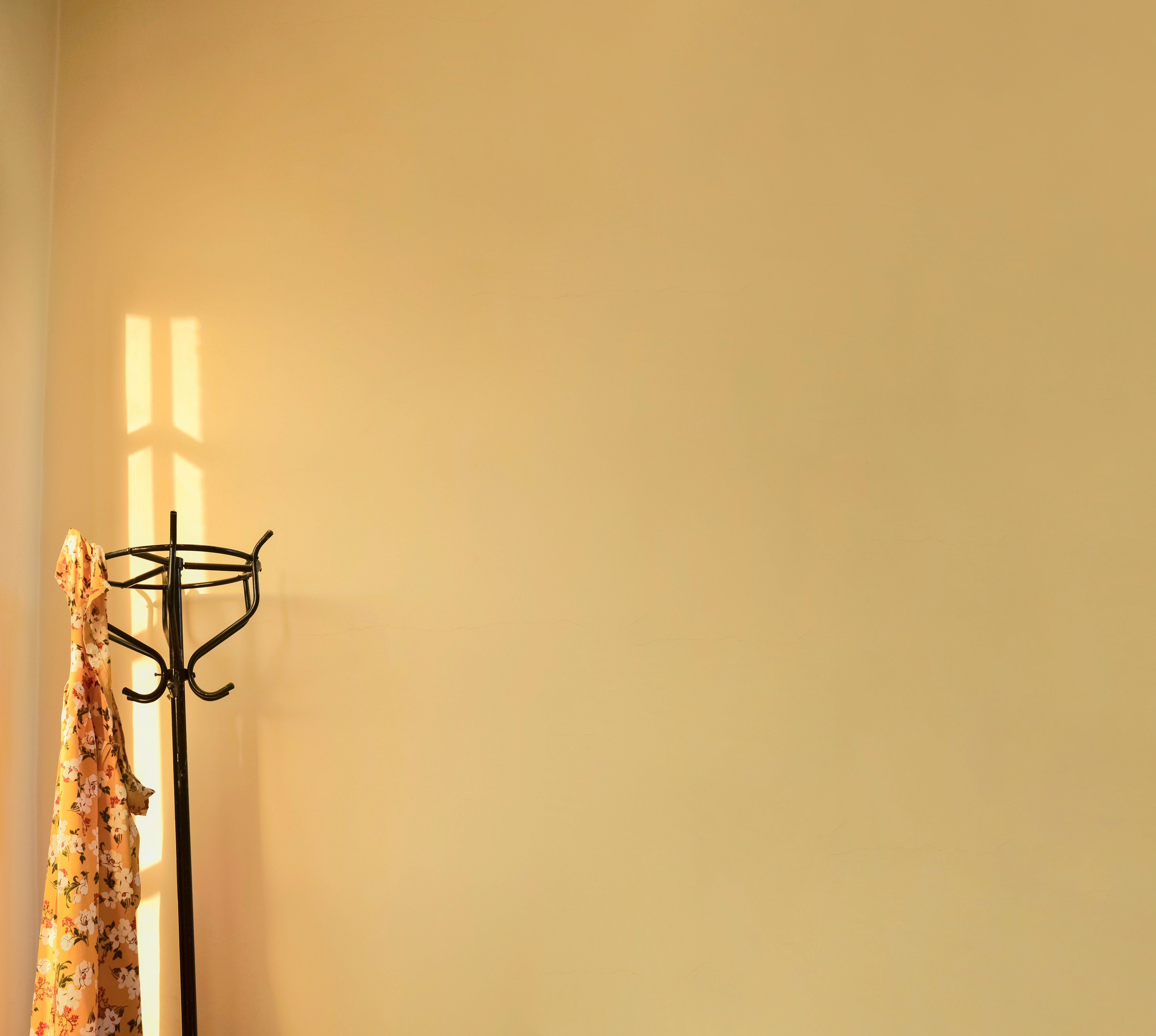 Golden Hour Minimalist Photography